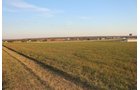 TRACTS 1 & 2 - LAND, MINERAL & PERSONAL PROPERTY AUCTION - 236+/- OFFERED IN 12 TRACTS IN OKMULGEE CO, OKLAHOMA